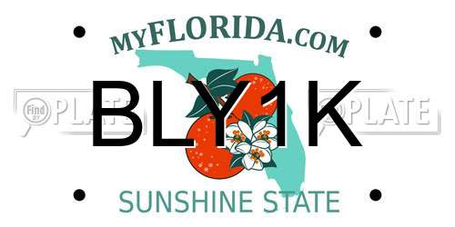 BLY1K Florida License Plate