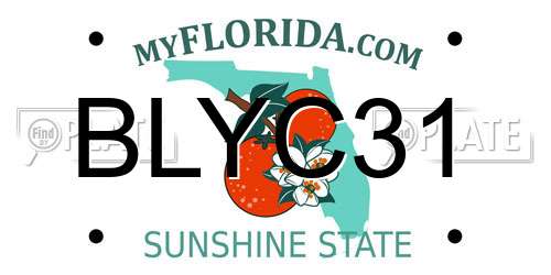 BLYC31 Florida License Plate