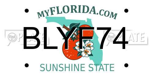 BLYF74 Florida License Plate