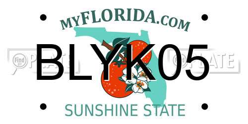 BLYK05 Florida License Plate