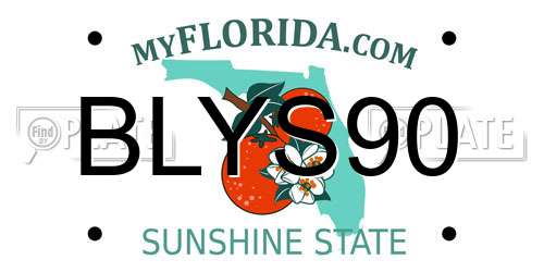 BLYS90 Florida License Plate