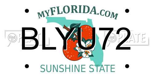 BLYU72 Florida License Plate