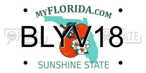 BLYV18 Florida License Plate