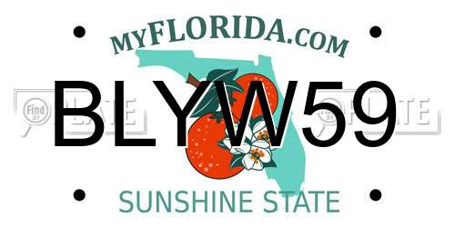 BLYW59 Florida License Plate