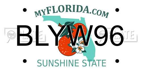 BLYW96 Florida License Plate
