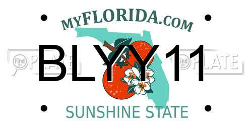 BLYY11 Florida License Plate