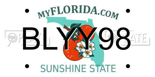 BLYY98 Florida License Plate