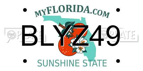 BLYZ49 Florida License Plate