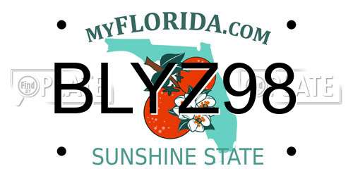 BLYZ98 Florida License Plate