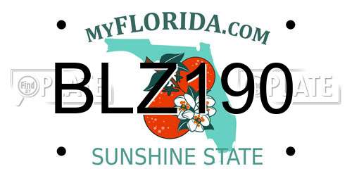 BLZ190 Florida License Plate
