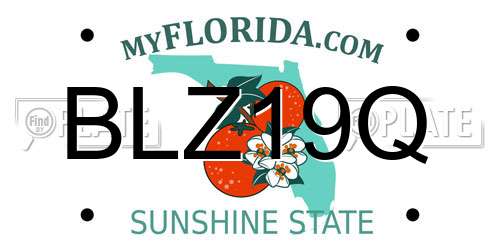 BLZ19Q Florida License Plate