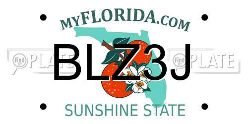BLZ3J Florida License Plate