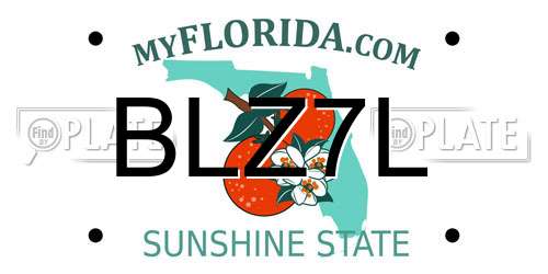 BLZ7L Florida License Plate