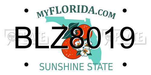 BLZ8019 Florida License Plate