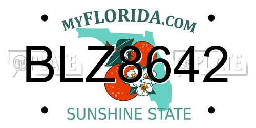 BLZ8642 Florida License Plate