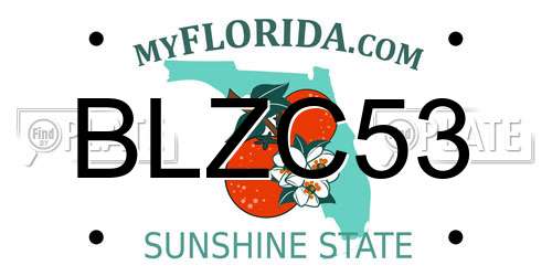 BLZC53 Florida License Plate