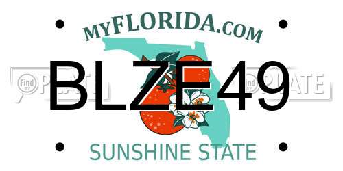 BLZE49 Florida License Plate