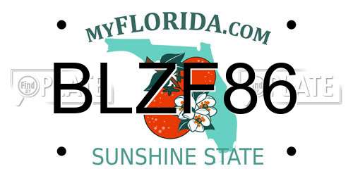 BLZF86 Florida License Plate