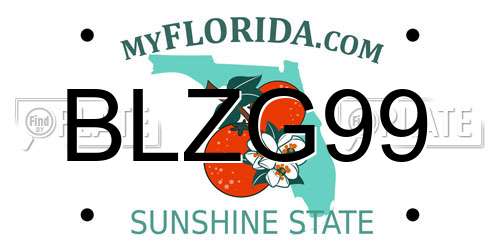 BLZG99 Florida License Plate