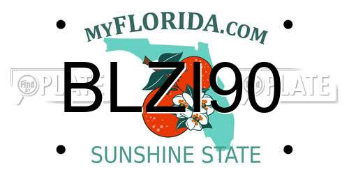 BLZI90 Florida License Plate