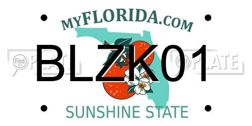 BLZK01 Florida License Plate