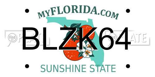 BLZK64 Florida License Plate