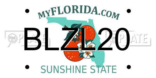 BLZL20 Florida License Plate