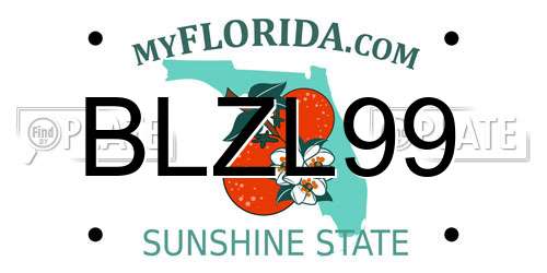 BLZL99 Florida License Plate