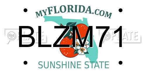 BLZM71 Florida License Plate