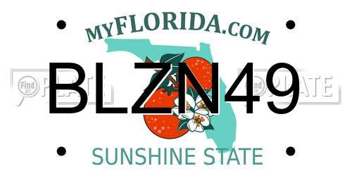 BLZN49 Florida License Plate