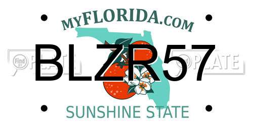 BLZR57 Florida License Plate