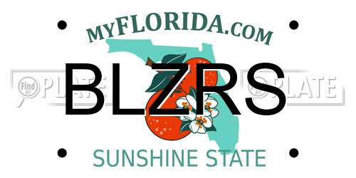 BLZRS Florida License Plate