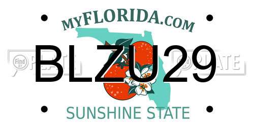 BLZU29 Florida License Plate