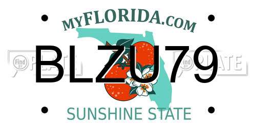 BLZU79 Florida License Plate