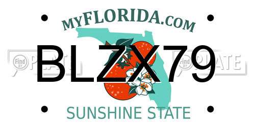 BLZX79 Florida License Plate