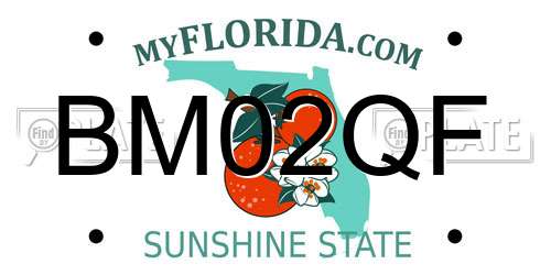 BM02QF Florida License Plate
