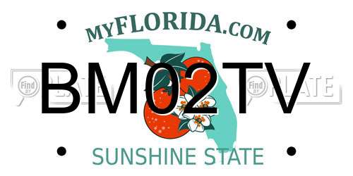 BM02TV Florida License Plate