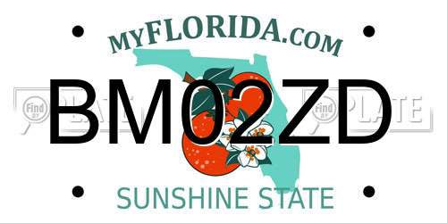 BM02ZD Florida License Plate