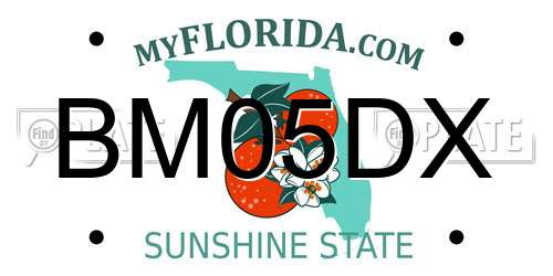 BM05DX Florida License Plate