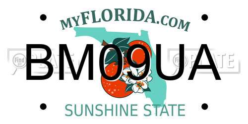 BM09UA Florida License Plate
