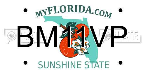 BM11VP Florida License Plate