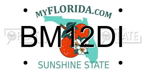 BM12DI Florida License Plate