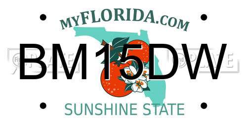 BM15DW Florida License Plate