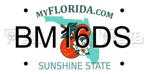 BM16DS Florida License Plate