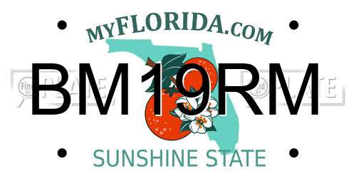 BM19RM Florida License Plate