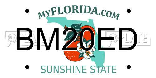 BM20ED Florida License Plate