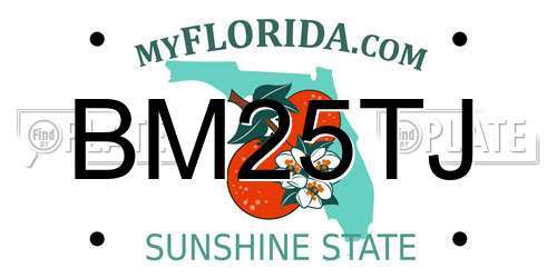 BM25TJ Florida License Plate
