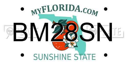 BM28SN Florida License Plate