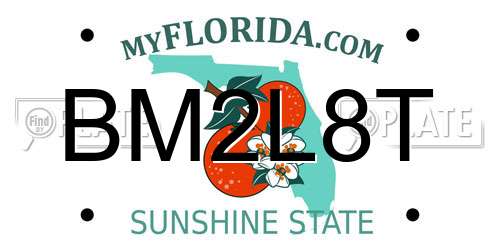 BM2L8T Florida License Plate