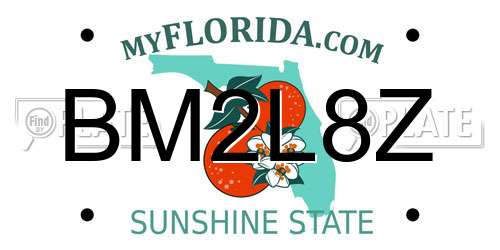BM2L8Z Florida License Plate